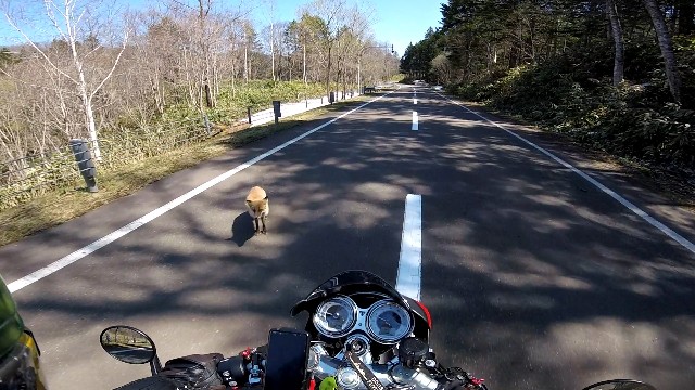 f:id:WeekEndRider:20230506223729j:image