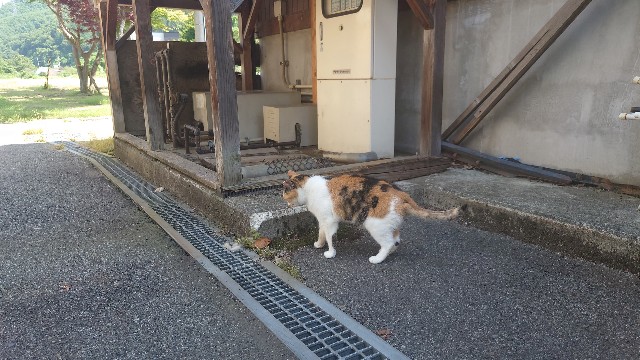f:id:WeekEndRider:20230723202411j:image