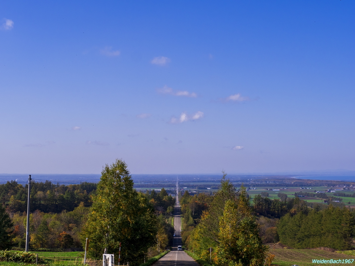 f:id:WeidenBach1967:20191027225631j:plain