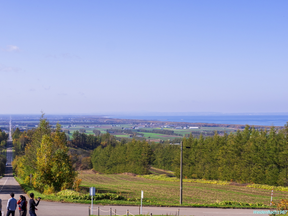 f:id:WeidenBach1967:20191027225721j:plain