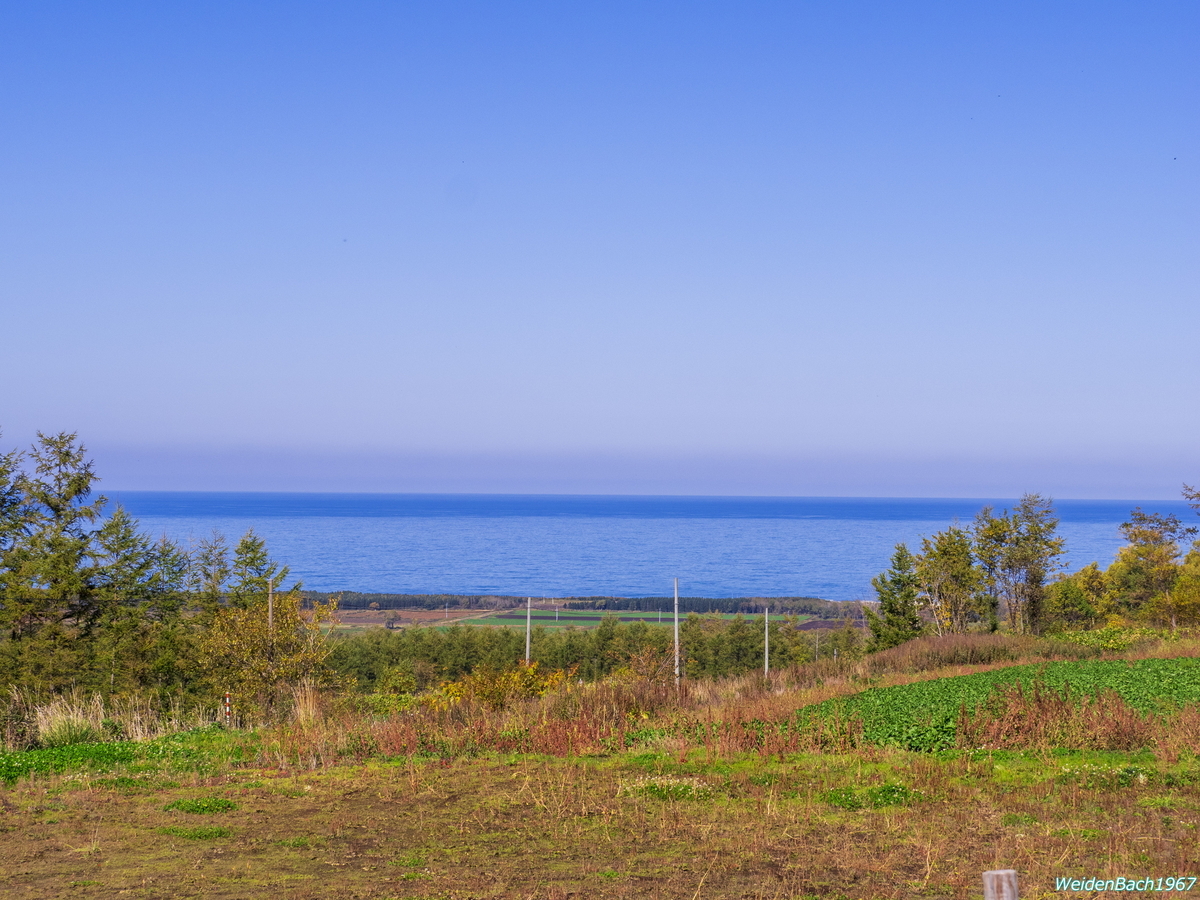 f:id:WeidenBach1967:20191027225726j:plain