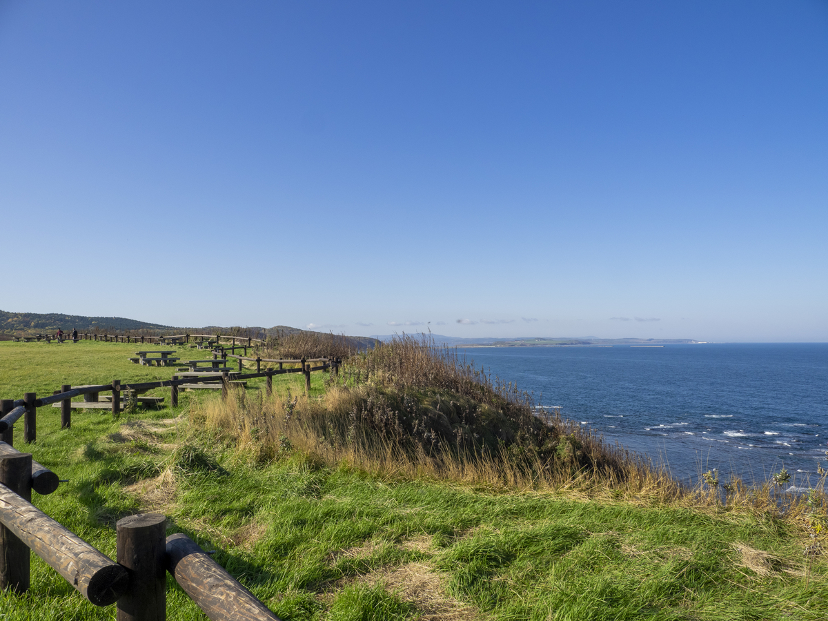 f:id:WeidenBach1967:20191103203447j:plain