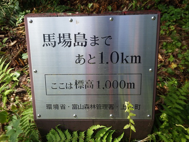 イメージ 8