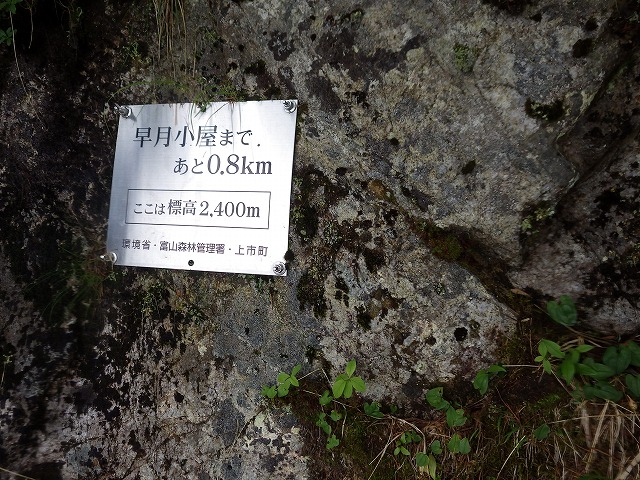 イメージ 33