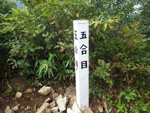 イメージ 8