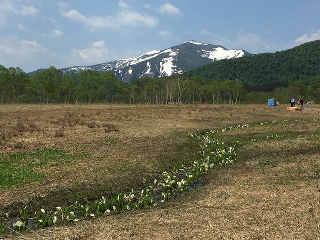 イメージ 47