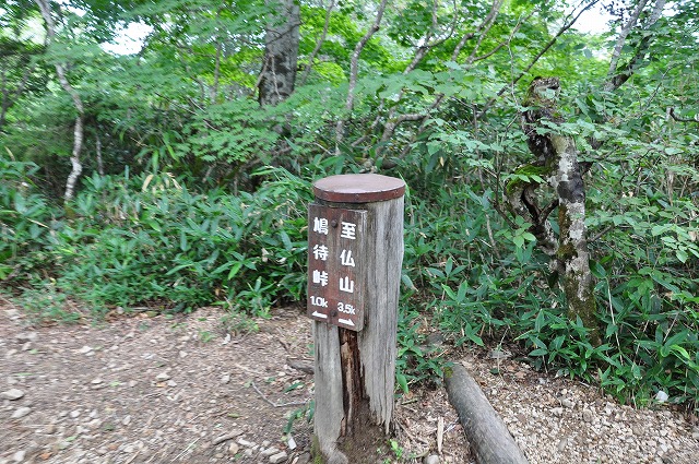 イメージ 47