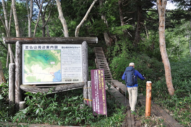 イメージ 8