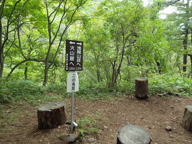 イメージ 53