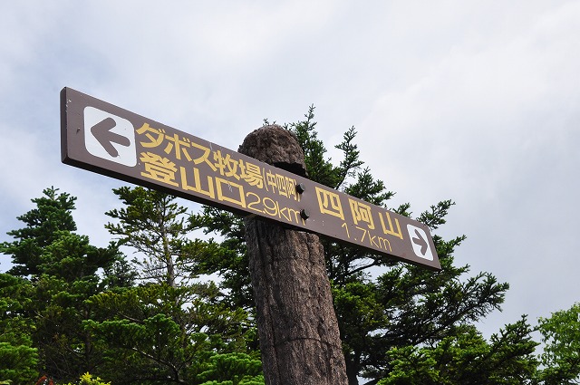 イメージ 14