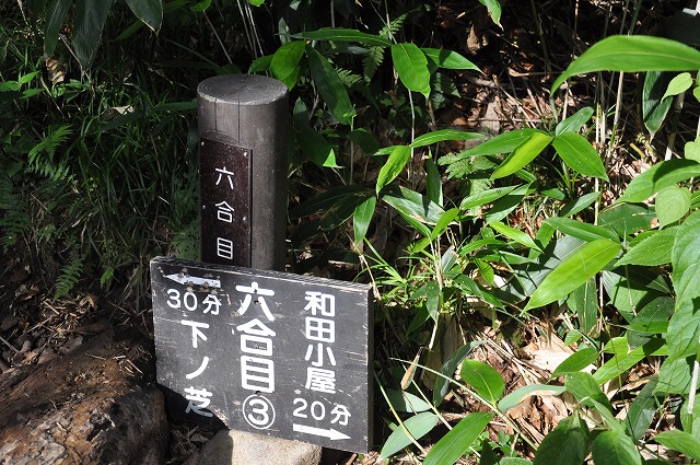イメージ 4