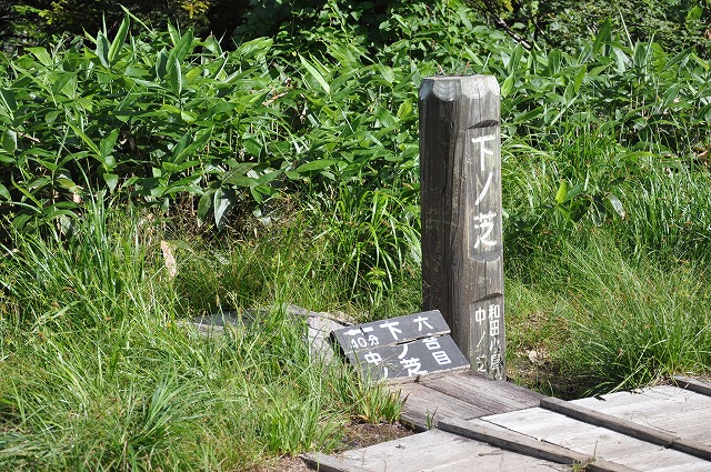 イメージ 5