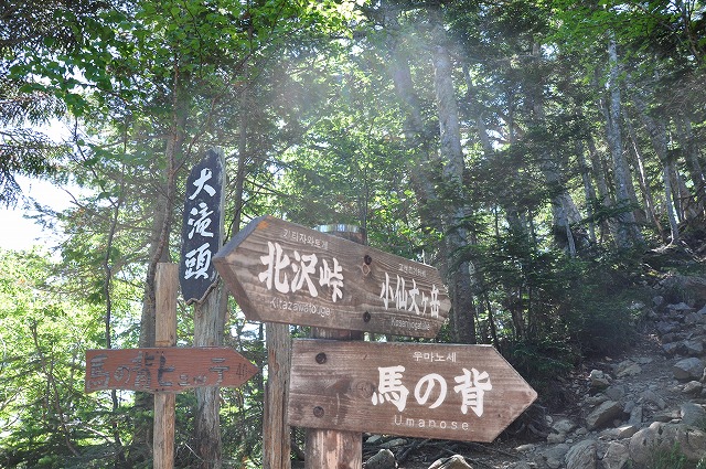 イメージ 12