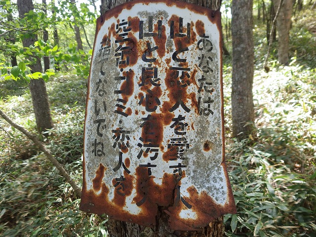 イメージ 13