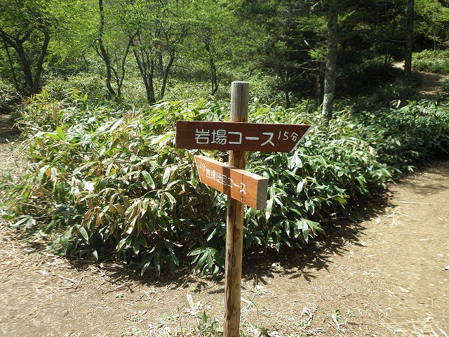イメージ 16
