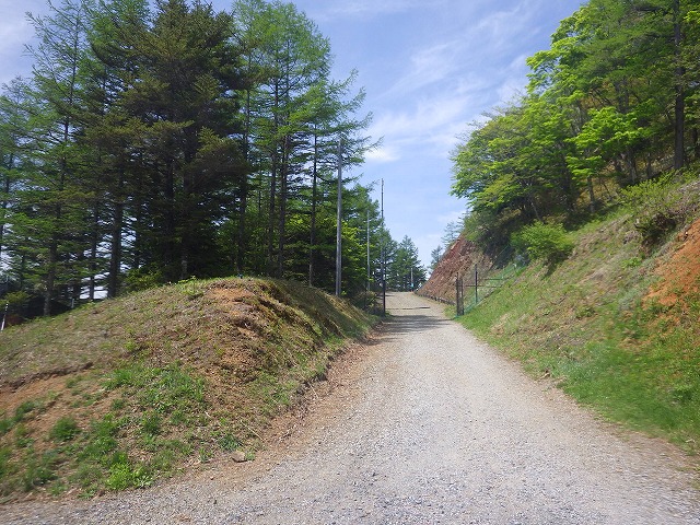 イメージ 5