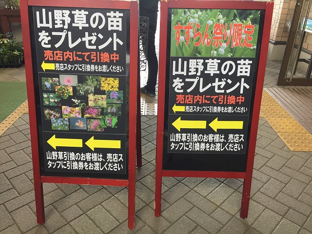 イメージ 54