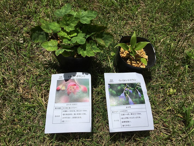 イメージ 55