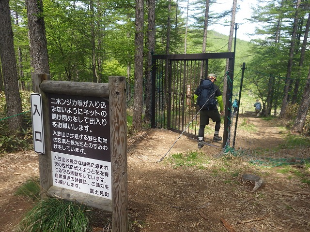 イメージ 6