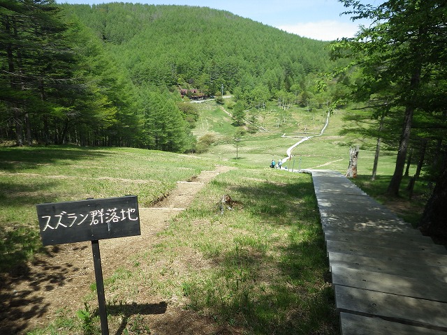 イメージ 7