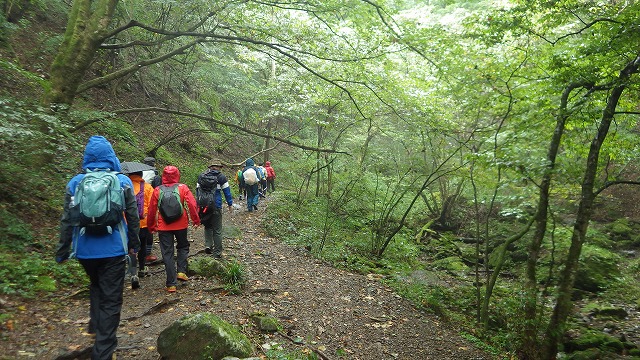 イメージ 11