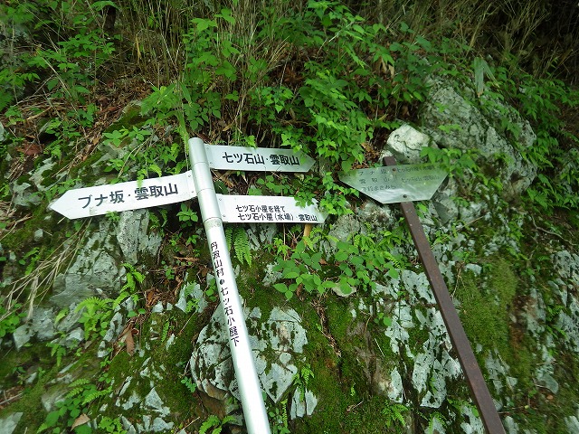イメージ 11