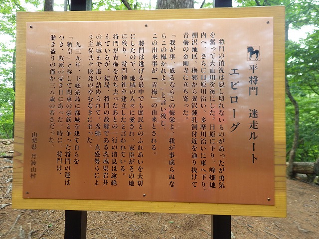 イメージ 23