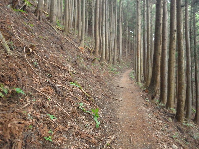 イメージ 3