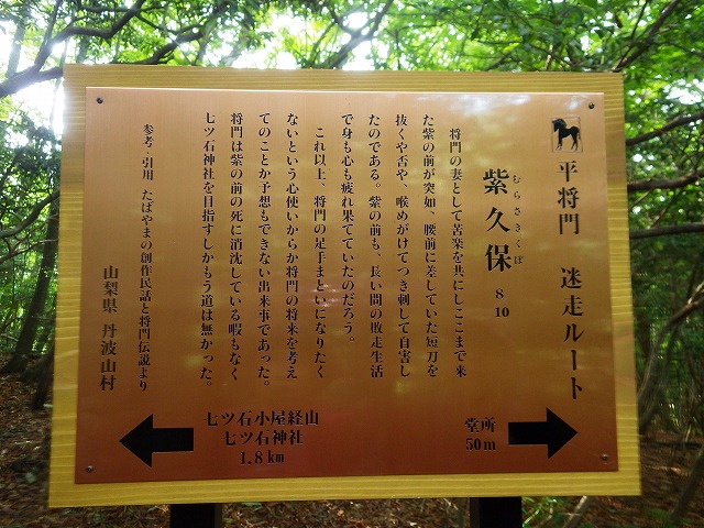 イメージ 8
