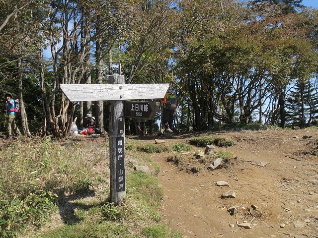 イメージ 7