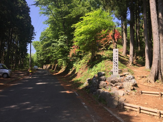 イメージ 15