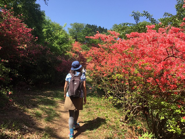 イメージ 18