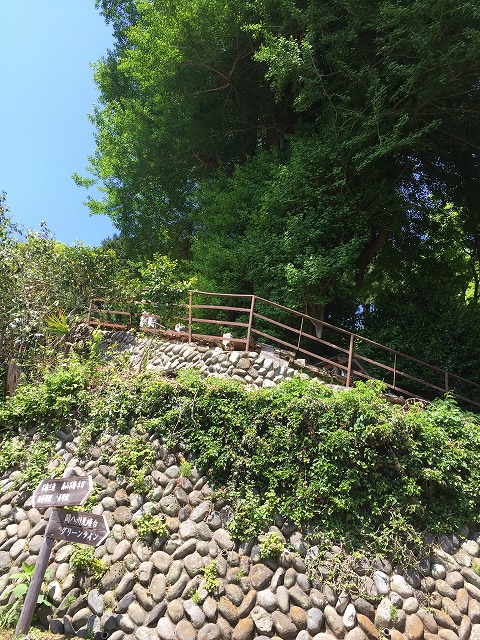 イメージ 2