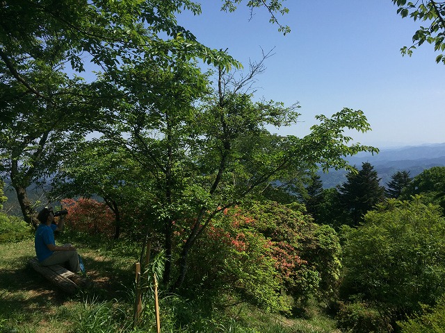 イメージ 22