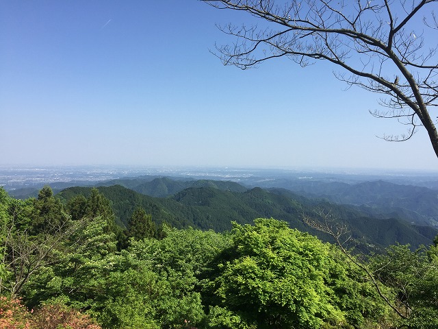 イメージ 23