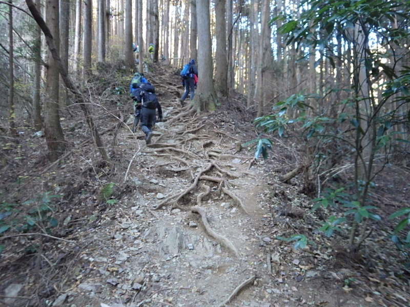 イメージ 5