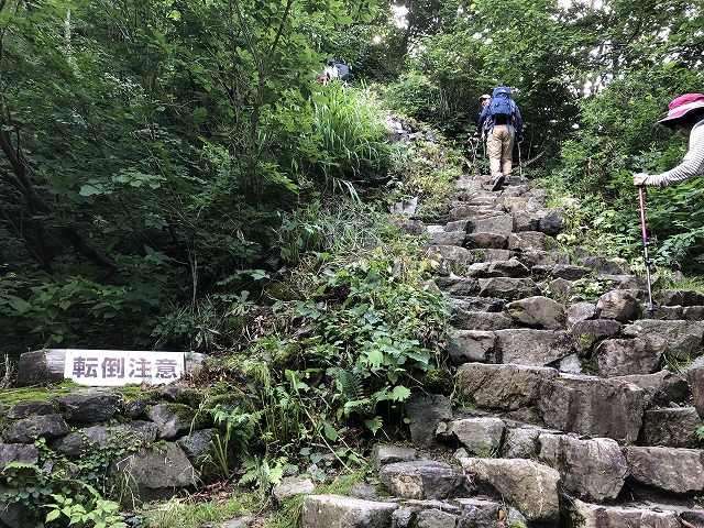 イメージ 7
