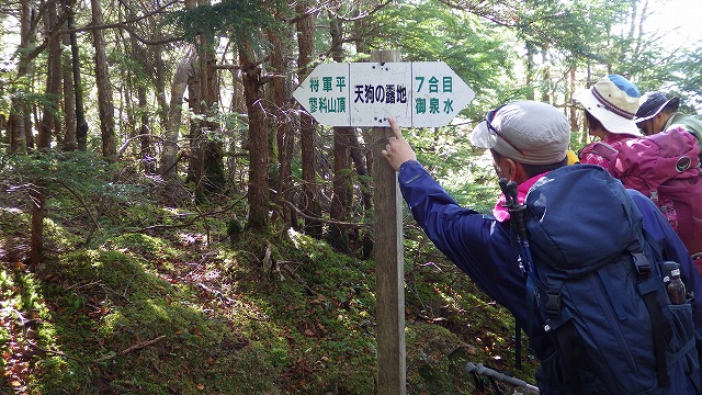 イメージ 33