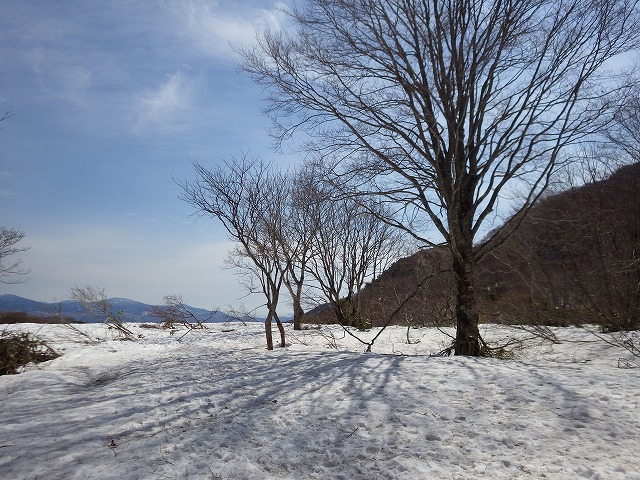 イメージ 4