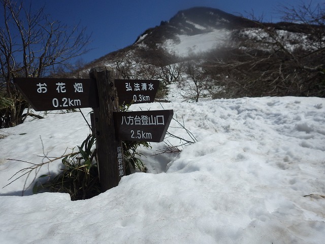 イメージ 36