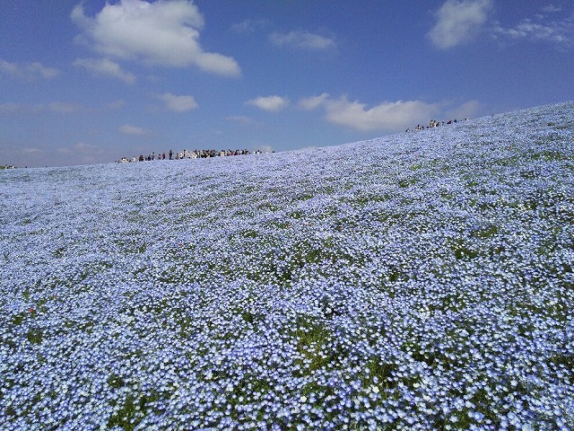イメージ 46