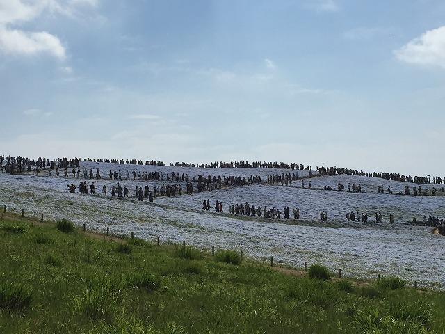 イメージ 47