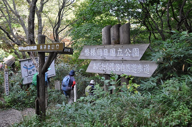 イメージ 65