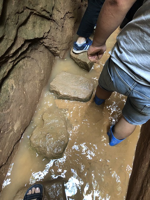 f:id:Westyumi:20190926234323j:plain