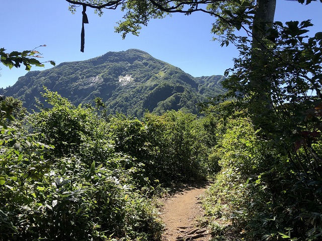 f:id:Westyumi:20191105230036j:plain