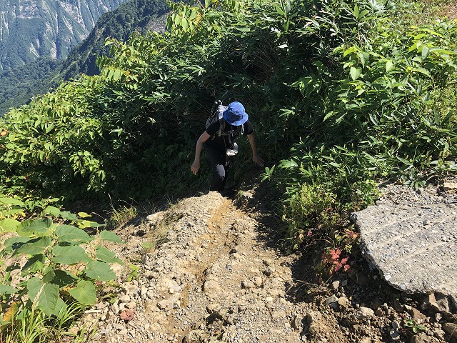 f:id:Westyumi:20191106183457j:plain