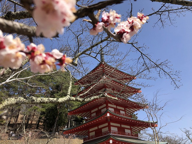 f:id:Westyumi:20200329171042j:plain