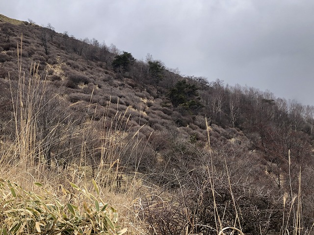 f:id:Westyumi:20210404005949j:plain