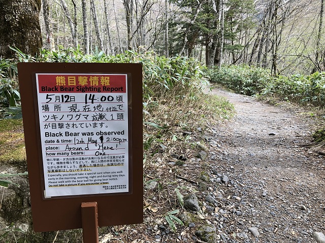 f:id:Westyumi:20210517175732j:plain