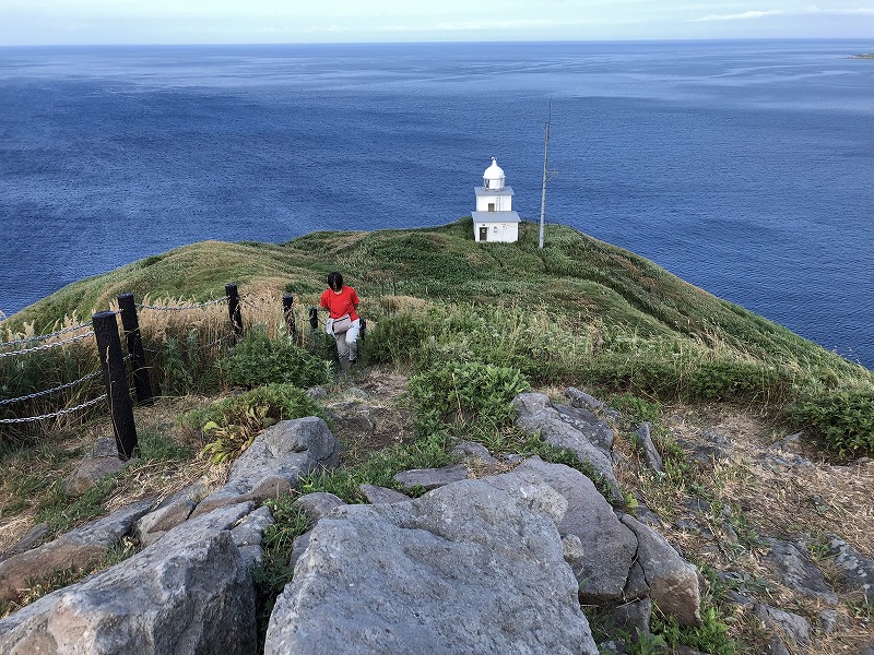 f:id:Westyumi:20210820235514j:plain